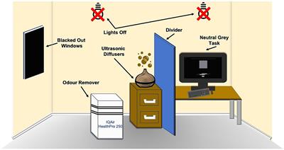Odors modulate color appearance
